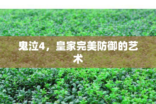 皇家完美防御的艺术图片
