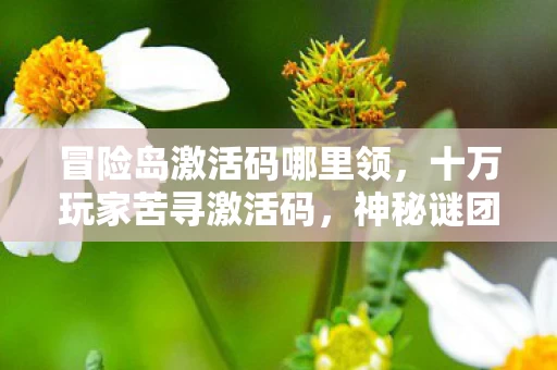 冒险岛激活码哪里领,十万玩家苦寻激活码,神秘谜团竟让全服破防? 冒险岛激活码哪里领,十万玩家苦寻激活码,神秘谜团竟让全服破防?