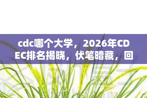cdc哪个大学，2026年CDEC排名揭晓，伏笔暗藏，回忆翻涌，鼻子一酸泪满襟