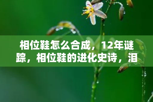相位鞋怎么合成，12年谜踪，相位鞋的进化史诗，泪目见证游戏界的时空奇迹