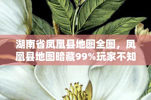 湖南省凤凰县地图全图，凤凰县地图暗藏99%玩家不知的3大数值陷阱！策划绝不会说的秘密