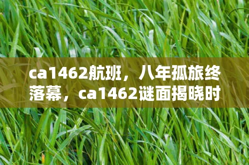 ca1462航班，八年孤旅终落幕，ca1462谜面揭晓时，泪目竟成最后注脚