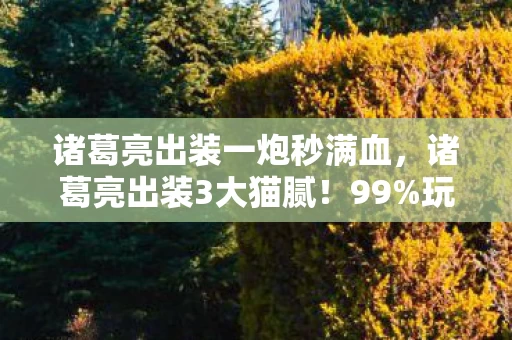 诸葛亮出装一炮秒满血,诸葛亮出装3大猫腻!99%玩家被坑到上头,策划你睡了吗? 诸葛亮出装一炮秒满血,诸葛亮出装3大猫腻!99%玩家被坑到上头,策划你睡了吗?