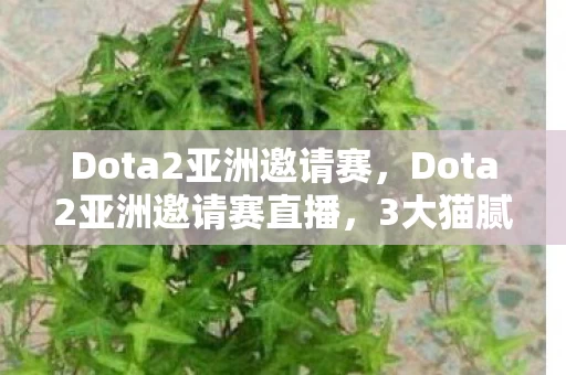 Dota2亚洲邀请赛，Dota2亚洲邀请赛直播，3大猫腻坑哭玩家，这波操作太上头！