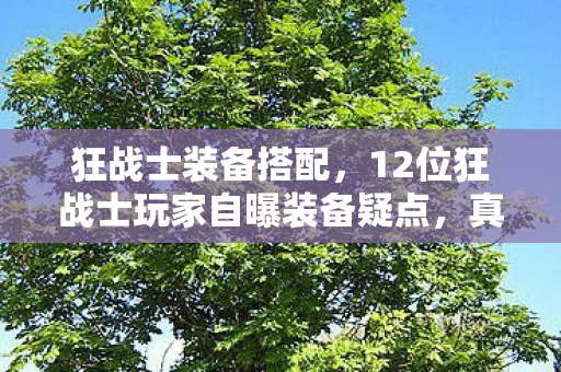 狂战士装备搭配，12位狂战士玩家自曝装备疑点，真相揭晓时我绷不住了