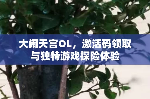 激活码领取与独特游戏探险体验图片