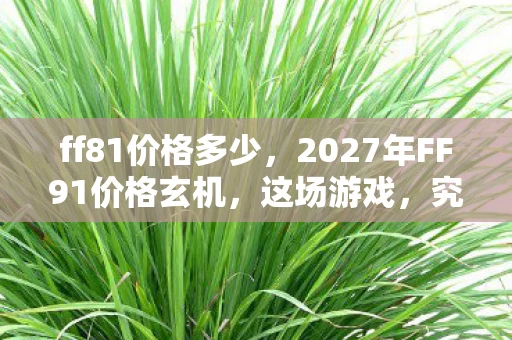 ff81价格多少，2027年FF91价格玄机，这场游戏，究竟给了我多少沉默的代价？