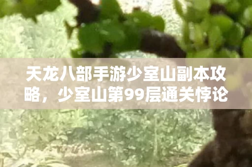 天龙八部手游少室山副本攻略,少室山第99层通关悖论,当虚拟满级成为现实废墟的墓志铭 天龙八部手游少室山副本攻略,少室山第99层通关悖论,当虚拟满级成为现实废墟的墓志铭