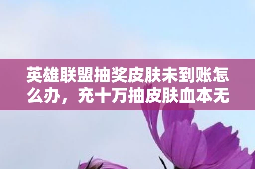 英雄联盟抽奖皮肤未到账怎么办,充十万抽皮肤血本无归!英雄联盟抽奖暗藏吞金黑洞,玩家惊爆内幕 英雄联盟抽奖皮肤未到账怎么办,充十万抽皮肤血本无归!英雄联盟抽奖暗藏吞金黑洞,玩家惊爆内幕
