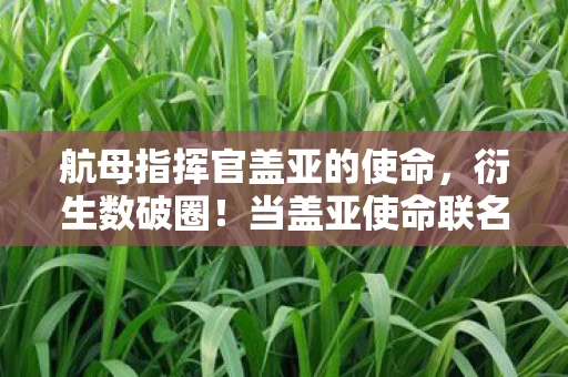 航母指挥官盖亚的使命,衍生数破圈!当盖亚使命联名款冰箱贴住我最后一块面包 航母指挥官盖亚的使命,衍生数破圈!当盖亚使命联名款冰箱贴住我最后一块面包