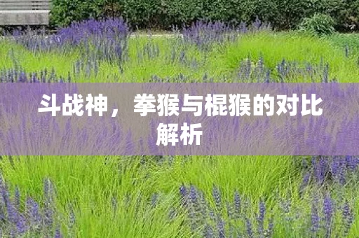 拳猴与棍猴的对比解析图片