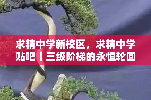 求精中学新校区，求精中学贴吧｜三级阶梯的永恒轮回，当自由意志撞碎命运齿轮的刹那，灵魂震颤