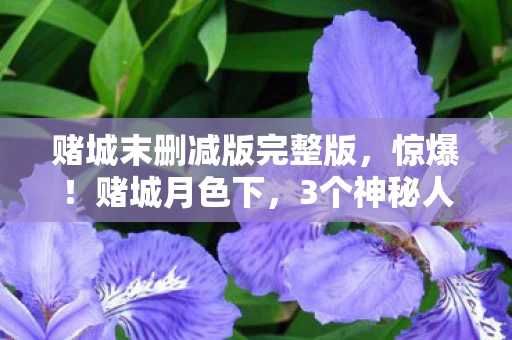 赌城末删减版完整版,惊爆!赌城月色下,3个神秘人竟藏着1个惊天秘密! 赌城末删减版完整版,惊爆!赌城月色下,3个神秘人竟藏着1个惊天秘密!