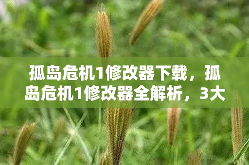 孤岛危机1修改器下载,孤岛危机1修改器全解析,3大心得+避坑指南,助你畅玩不翻车! 孤岛危机1修改器下载,孤岛危机1修改器全解析,3大心得+避坑指南,助你畅玩不翻车!