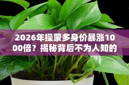 2026年操蒙多身价暴涨1000倍?揭秘背后不为人知的财富密码! 2026年操蒙多身价暴涨1000倍?揭秘背后不为人知的财富密码!