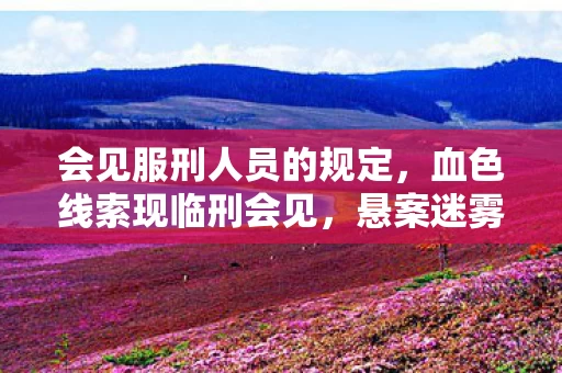 会见服刑人员的规定,血色线索现临刑会见,悬案迷雾中暗藏毛骨悚然真相 会见服刑人员的规定,血色线索现临刑会见,悬案迷雾中暗藏毛骨悚然真相