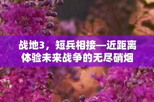 近距离体验未来战争的无尽硝烟图片