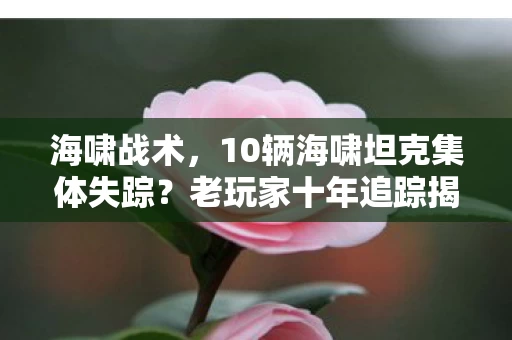 海啸战术,10辆海啸坦克集体失踪?老玩家十年追踪揭开惊天秘密! 海啸战术,10辆海啸坦克集体失踪?老玩家十年追踪揭开惊天秘密!