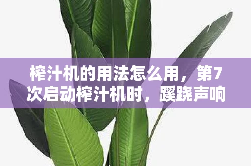 榨汁机的用法怎么用,第7次启动榨汁机时,蹊跷声响让我后背发凉,真相细思极恐 榨汁机的用法怎么用,第7次启动榨汁机时,蹊跷声响让我后背发凉,真相细思极恐