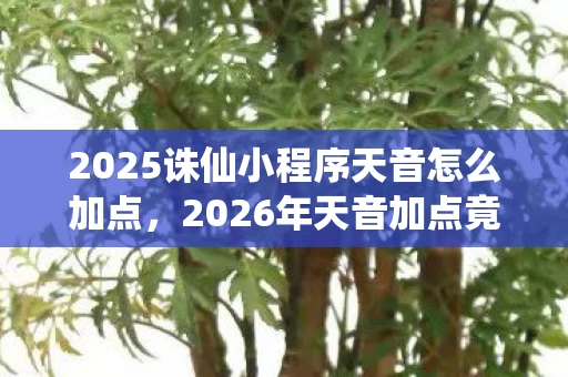 2025诛仙小程序天音怎么加点，2026年天音加点竟暗藏惊天玄机？玩家集体沸腾了！