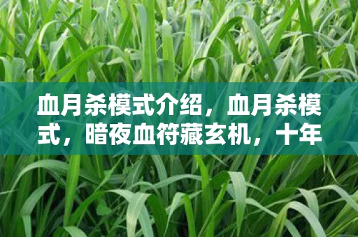 血月杀模式介绍，血月杀模式，暗夜血符藏玄机，十年悬案惊魂未解
