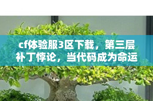 cf体验服3区下载，第三层补丁悖论，当代码成为命运枷锁，你的枪口究竟指向谁？