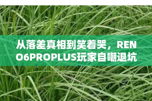 从落差真相到笑着哭,RENO6PROPLUS玩家自嘲退坑实录 从落差真相到笑着哭,RENO6PROPLUS玩家自嘲退坑实录