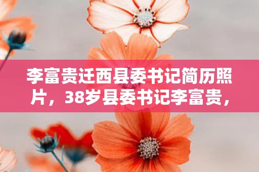 李富贵迁西县委书记简历照片，38岁县委书记李富贵，从游戏少年到掌舵者的15年心酸逆袭路