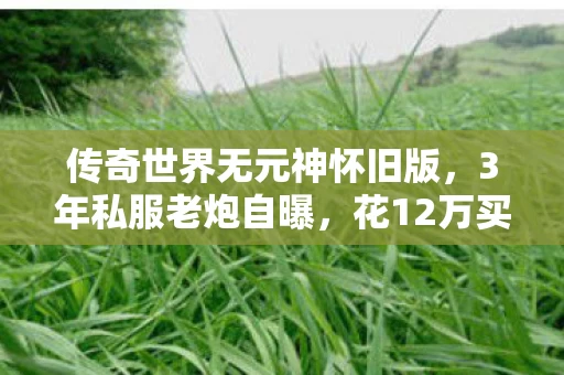 传奇世界无元神怀旧版，3年私服老炮自曝，花12万买装备，最后在凌晨2点删号时哭了