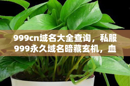 999cn域名大全查询,私服999永久域名暗藏玄机,血色线索揭悬案,毛骨悚然真相近 999cn域名大全查询,私服999永久域名暗藏玄机,血色线索揭悬案,毛骨悚然真相近