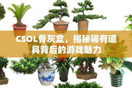 揭秘稀有道具背后的游戏魅力图片
