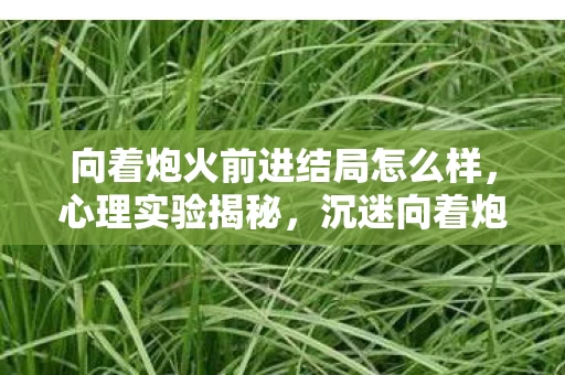 向着炮火前进结局怎么样,心理实验揭秘,沉迷向着炮火前进竟是场细思极恐的脑手术? 向着炮火前进结局怎么样,心理实验揭秘,沉迷向着炮火前进竟是场细思极恐的脑手术?