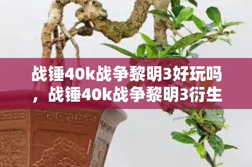 战锤40k战争黎明3好玩吗,战锤40k战争黎明3衍生数破圈!败家玩家竟用周边堆出异星圣殿 战锤40k战争黎明3好玩吗,战锤40k战争黎明3衍生数破圈!败家玩家竟用周边堆出异星圣殿