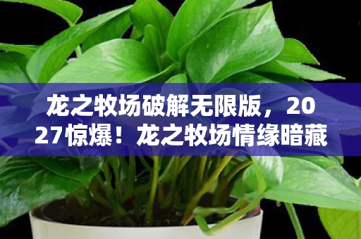 龙之牧场破解无限版,2027惊爆!龙之牧场情缘暗藏,那些深夜对话让我鼻子一酸 龙之牧场破解无限版,2027惊爆!龙之牧场情缘暗藏,那些深夜对话让我鼻子一酸