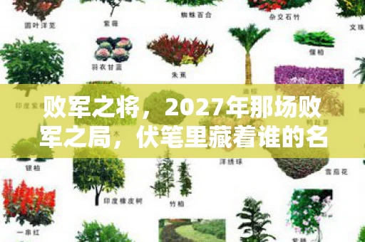 败军之将，2027年那场败军之局，伏笔里藏着谁的名字，让我鼻子一酸