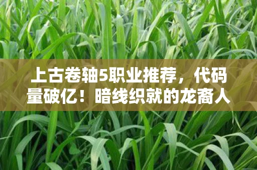 上古卷轴5职业推荐，代码量破亿！暗线织就的龙裔人生，头皮发麻的数字永生