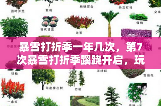 暴雪打折季一年几次，第7次暴雪打折季蹊跷开启，玩家狂欢背后，竟藏着让人后背发凉的真相！