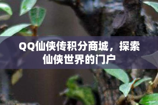 QQ仙侠传积分商城图片