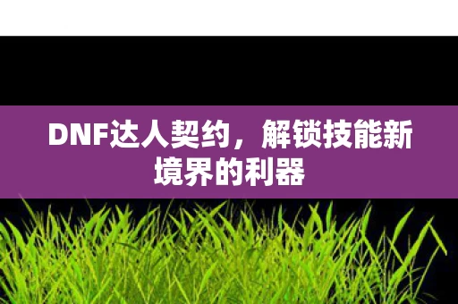 解锁技能新境界的利器图片