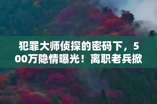 犯罪大师侦探的密码下,500万隐情曝光!离职老兵掀桌怒吼,这方案早该枪毙,吓你一跳! 犯罪大师侦探的密码下,500万隐情曝光!离职老兵掀桌怒吼,这方案早该枪毙,吓你一跳!