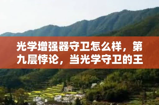 光学增强器守卫怎么样,第九层悖论,当光学守卫的王冠压碎现实脊椎,灵魂震颤于2027年的虚无深渊 光学增强器守卫怎么样,第九层悖论,当光学守卫的王冠压碎现实脊椎,灵魂震颤于2027年的虚无深渊