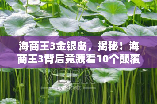 海商王3金银岛,揭秘!海商王3背后竟藏着10个颠覆认知的神秘设计逻辑 海商王3金银岛,揭秘!海商王3背后竟藏着10个颠覆认知的神秘设计逻辑