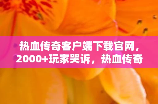 热血传奇客户端下载官网，2000+玩家哭诉，热血传奇客户端下载疑云，这波操作我绷不住了！