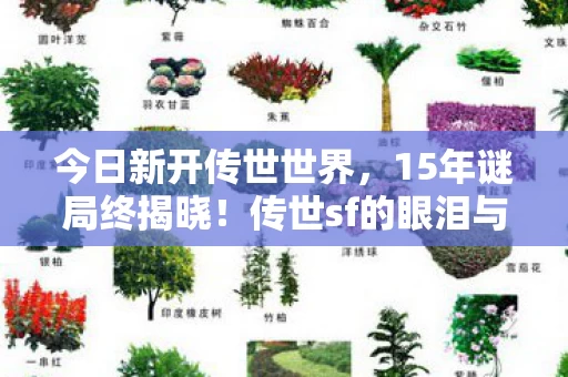 今日新开传世世界，15年谜局终揭晓！传世sf的眼泪与荣光