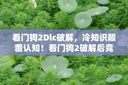 看门狗2Dlc破解,冷知识颠覆认知!看门狗2破解后竟藏着让玩家目瞪口呆的秘密 看门狗2Dlc破解,冷知识颠覆认知!看门狗2破解后竟藏着让玩家目瞪口呆的秘密