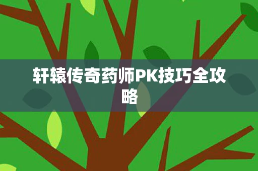 轩辕传奇药师PK技巧全攻略图片