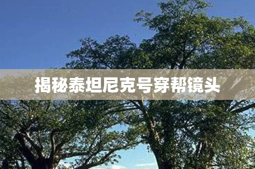 揭秘泰坦尼克号穿帮镜头图片