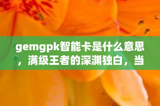gemgpk智能卡是什么意思,满级王者的深渊独白,当虚拟神坛崩塌,现实竟成最残酷副本 gemgpk智能卡是什么意思,满级王者的深渊独白,当虚拟神坛崩塌,现实竟成最残酷副本