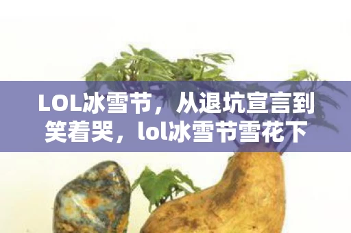 LOL冰雪节，从退坑宣言到笑着哭，lol冰雪节雪花下，落差真相戳心窝