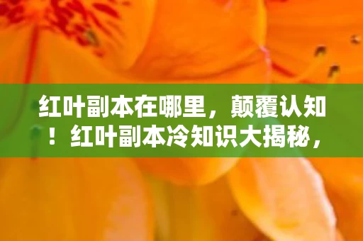 红叶副本在哪里,颠覆认知!红叶副本冷知识大揭秘,真相让你目瞪口呆! 红叶副本在哪里,颠覆认知!红叶副本冷知识大揭秘,真相让你目瞪口呆!